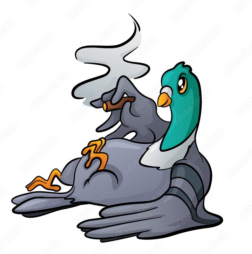 Dear scam <a href="/zksync/">ZKsync (∎, ∆)</a> team, I will be very happy if you come to my house to spend a good time with me because I have a strange pigeon at home who smokes a pack of cigarettes every day. I am sure you will enjoy it 80% 🍆guaranteed😉
#zkscame 
#zksyncscam