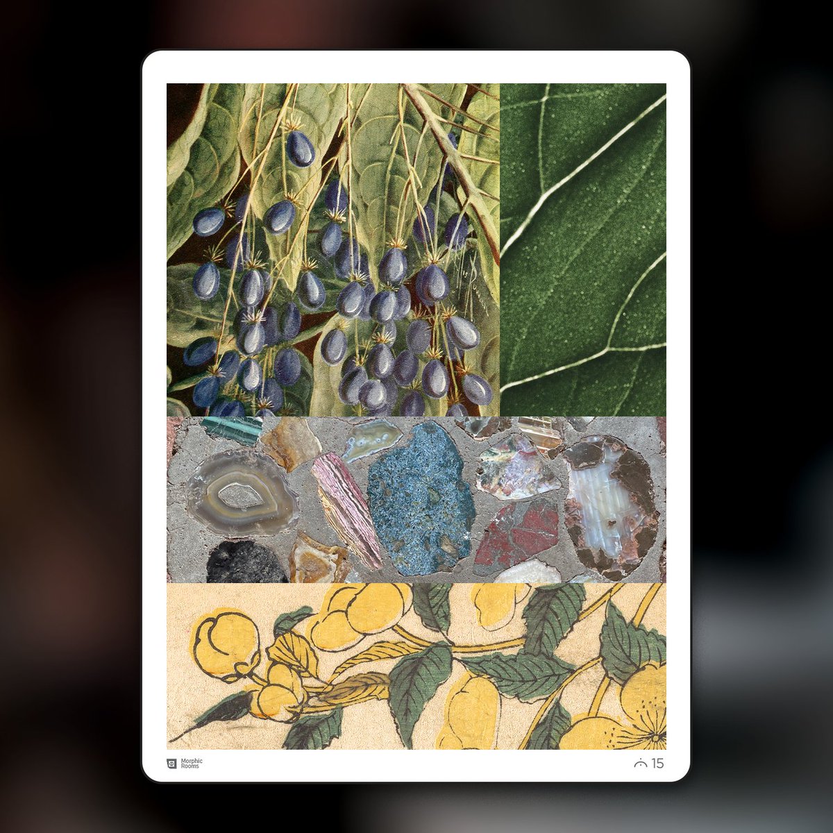 morphic additions - series two now available tweet media