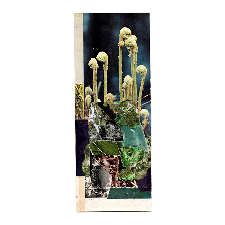 morphic additions - series two now available tweet media