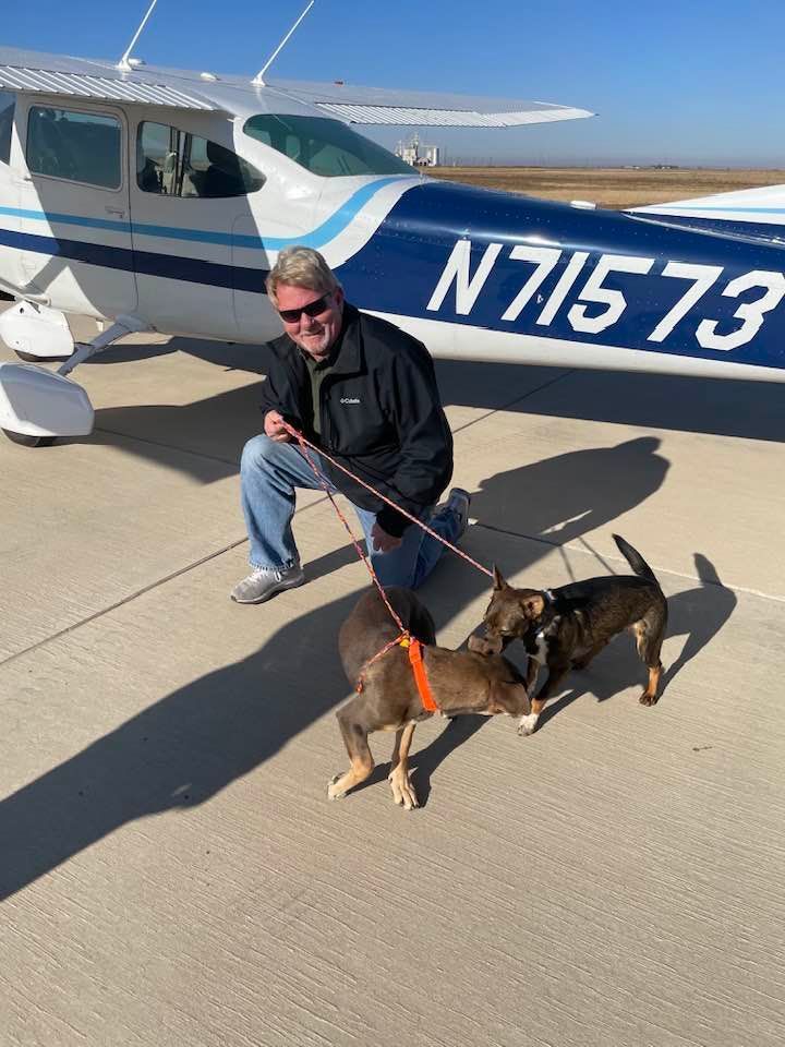 PilotsNPaws's tweet photo. The sun's warmth &amp; clear skies made for a joyous day for pups Jackson, Kenobi &amp; Willa. Their first of 4 freedom flights began on a Sunday morning in TX w/Pilot David &amp; Copilot Trudy and finished in WI✈️Thank you Pilot David &amp; Copilot Trudy for saving Jackson, Kenobi &amp; Willa💕#pnp https://t.co/RzaxVmd5z8