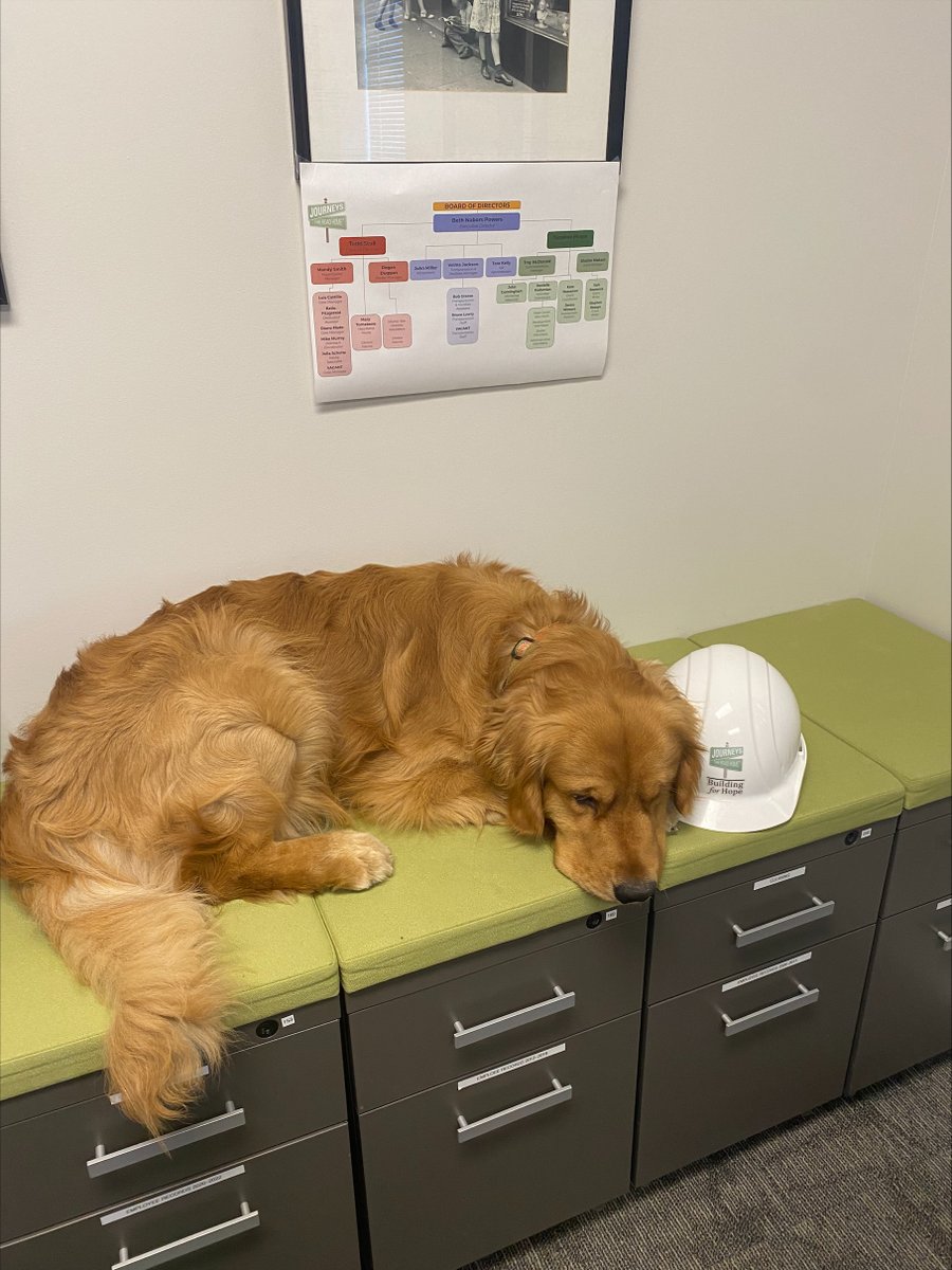 JourneysRoad's tweet photo. Last week, our ED’s dog, Maverick, paid a visit to JOURNEYS! He is being trained to be a service dog, so he visited with clients who provide some peace to those struggling emotionally. We always love seeing Maverick at our agency, and we love seeing all the happiness he spreads! https://t.co/xxC2WFkloS