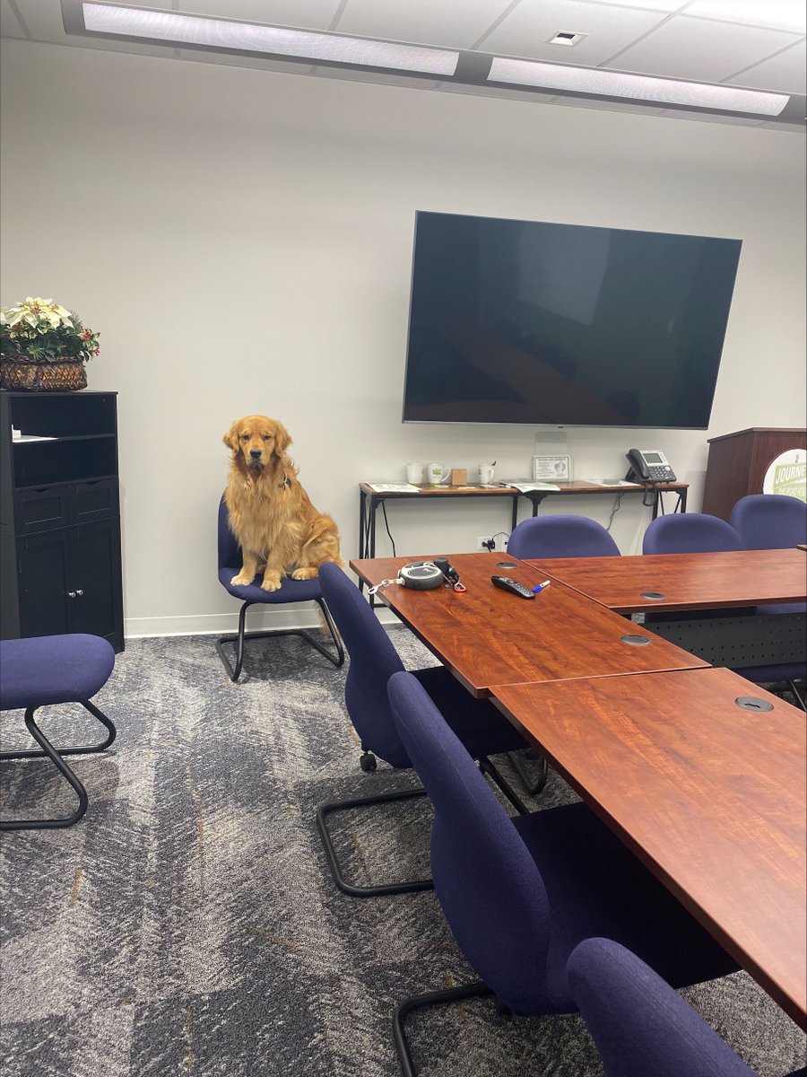 Last week, our ED’s dog, Maverick, paid a visit to JOURNEYS! He is being trained to be a service dog, so he visited with clients who provide some peace to those struggling emotionally. We always love seeing Maverick at our agency, and we love seeing all the happiness he spreads!