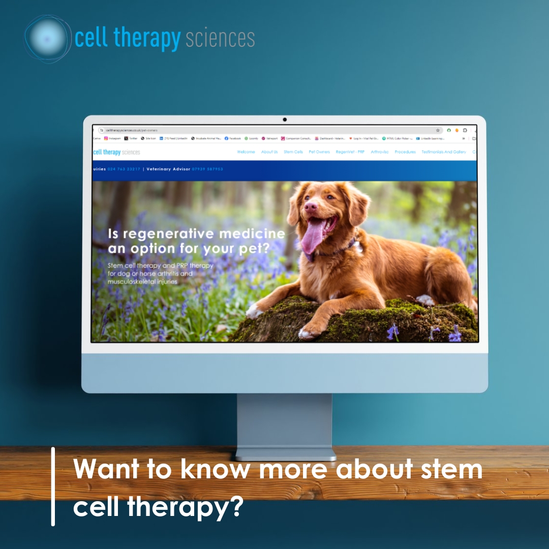 We have a handy pet owner guide to regenerative medicine on our website.

This resource is completely free - simply click on the link below to learn more. And if you have any further questions, reach out to your vet to discuss treatment options.

🔗 celltherapysciences.co.uk/pet-owners
