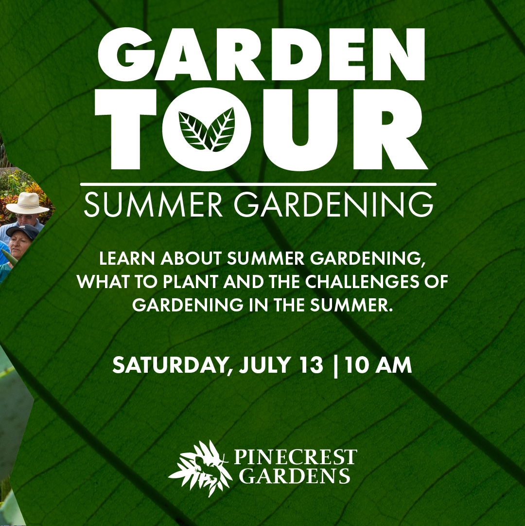 Join us this summer for our Garden Tour as we explore the challenges and excitement of summer gardening at Pinecrest Gardens.

The tour will happen on Saturday, July 13, at 10 AM. To register visit ow.ly/bNp950Sh7ly.