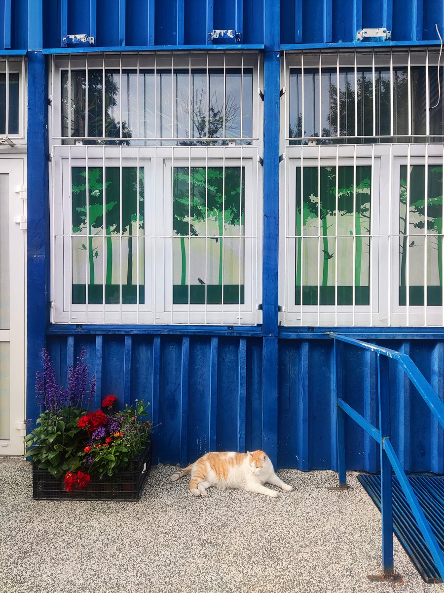 Adrian Kornaś tweet media