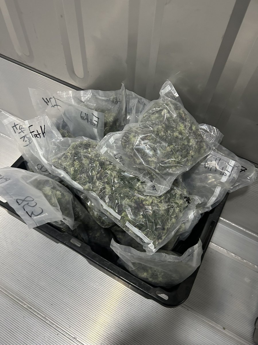 fakeaf____'s tweet photo. Light intake this morning #PR69 #GZ https://t.co/KYaY3Nb4p8