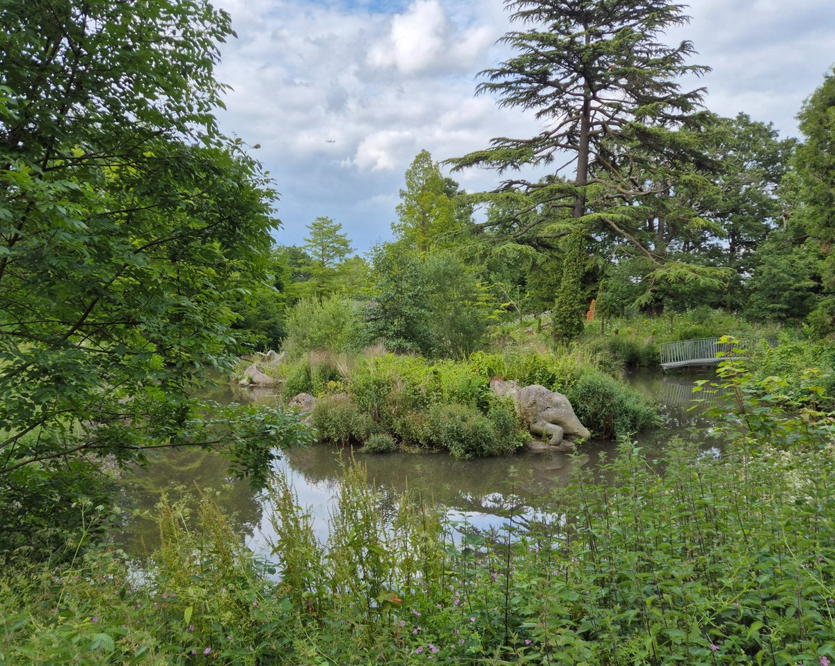 Dan Jones (@danfjones72) on Twitter photo Obviously it's great that the <a href="/cpdinosaurs/">Crystal Palace Dinos</a> are getting the TLC they deserve, but every now and again I like to see them their unrestored, overgrown, lichen-covered glory Obviously it's great that the <a href="/cpdinosaurs/">Crystal Palace Dinos</a> are getting the TLC they deserve, but every now and again I like to see them their unrestored, overgrown, lichen-covered glory
