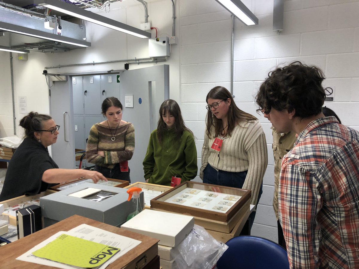 harrysiviter's tweet photo. Year 2 field course ‘amazing insects’ at @NHM_London with the legendary @flygirlNHM 

@BristolBioSci @DrLucyAlford @BristEntNet https://t.co/NSjUKdJ8Nx