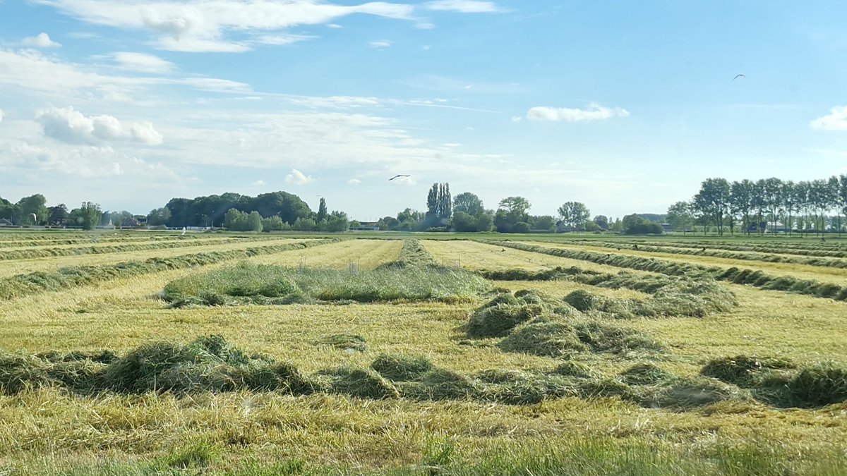 Reint Risseeuw tweet media