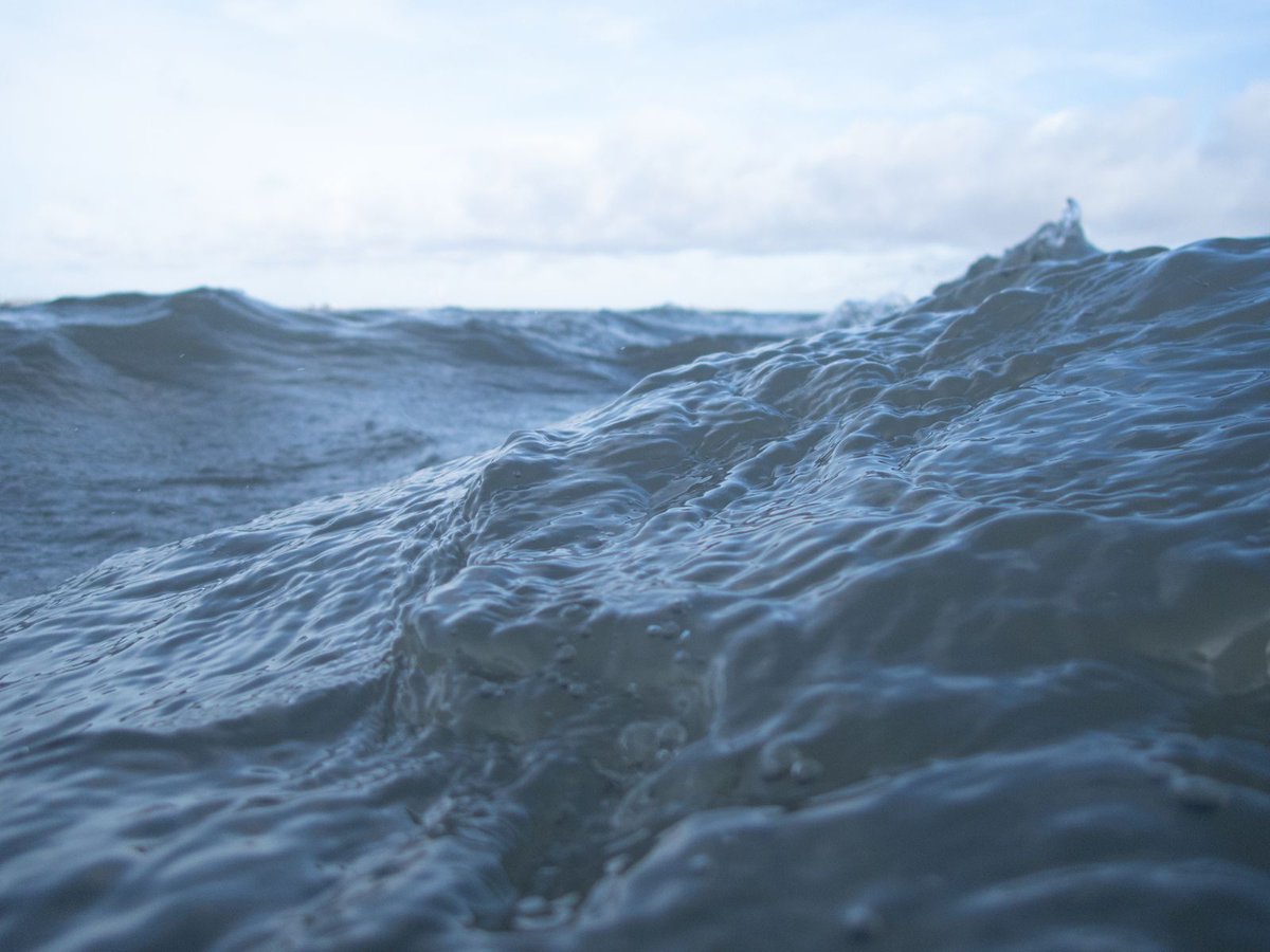 mellowtonics's tweet photo. Our alto and artist Giita Hammond will be selling fine art limited edition prints of her Underneath All Currents photos at our concert this Saturday! 🌊

The prints are A4 in size in editions of 10 and signed by Giita, available at €95 each.

@Giita_Hammond_P #MellowTonics https://t.co/yogj0R9gyY