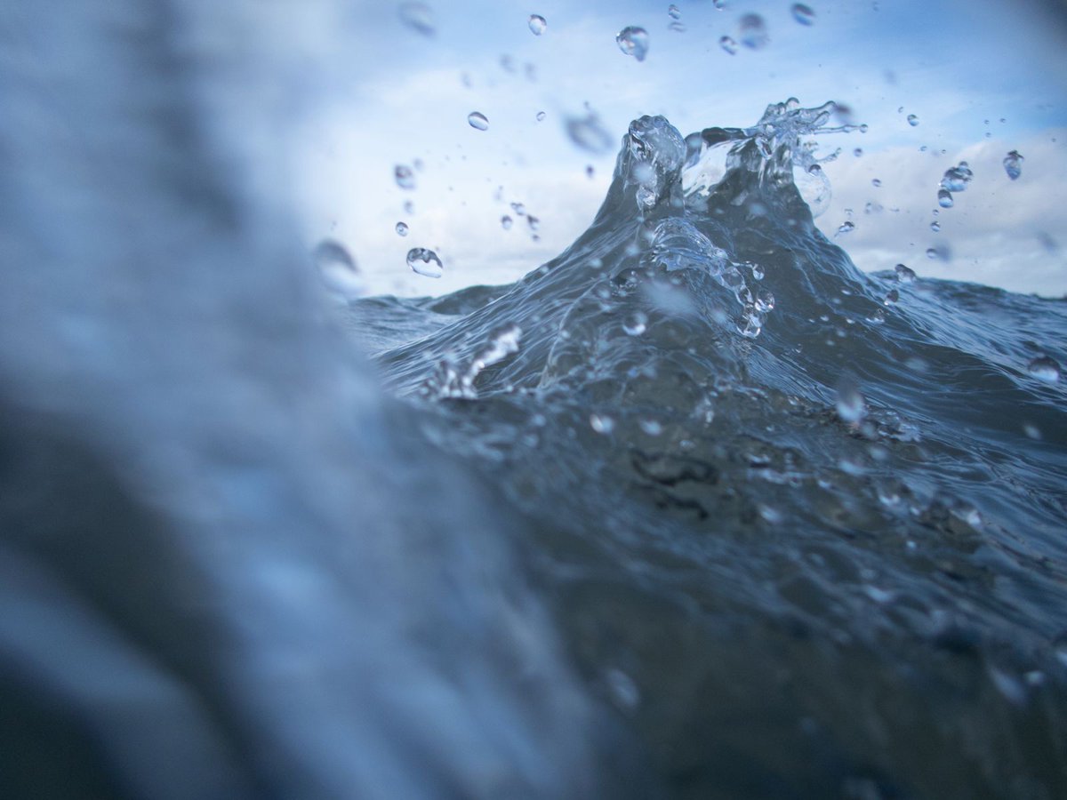mellowtonics's tweet photo. Our alto and artist Giita Hammond will be selling fine art limited edition prints of her Underneath All Currents photos at our concert this Saturday! 🌊

The prints are A4 in size in editions of 10 and signed by Giita, available at €95 each.

@Giita_Hammond_P #MellowTonics https://t.co/yogj0R9gyY