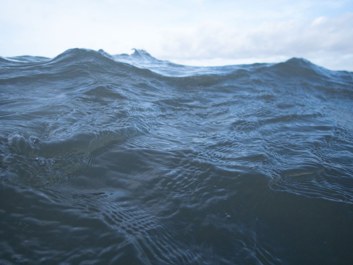mellowtonics's tweet photo. Our alto and artist Giita Hammond will be selling fine art limited edition prints of her Underneath All Currents photos at our concert this Saturday! 🌊

The prints are A4 in size in editions of 10 and signed by Giita, available at €95 each.

@Giita_Hammond_P #MellowTonics https://t.co/yogj0R9gyY