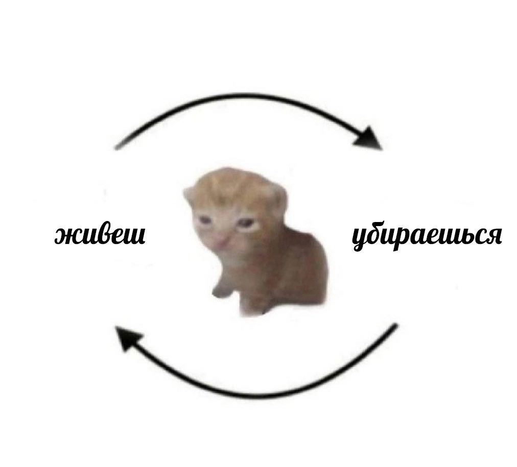 RussianMemesLtd's tweet photo. living

cleaning https://t.co/1Q2IxgXzKO