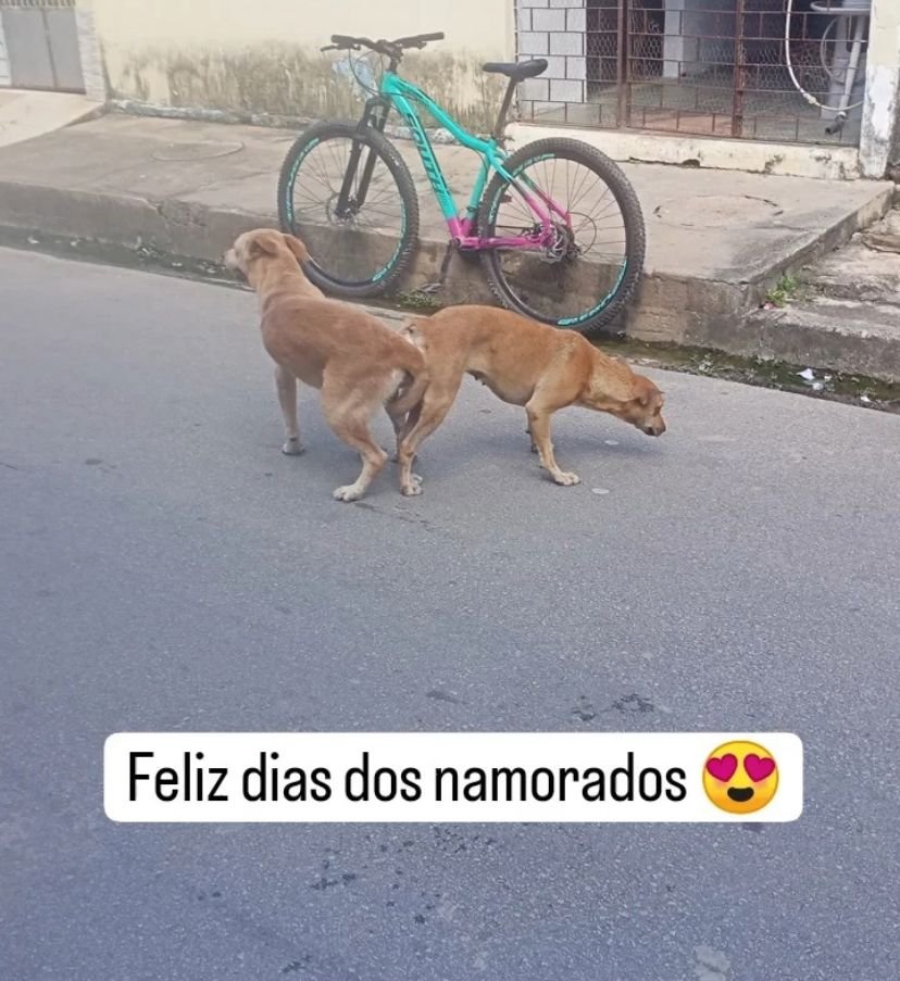 pinhaododeboche's tweet photo. viva o amor! https://t.co/iOZGBP0Cmt