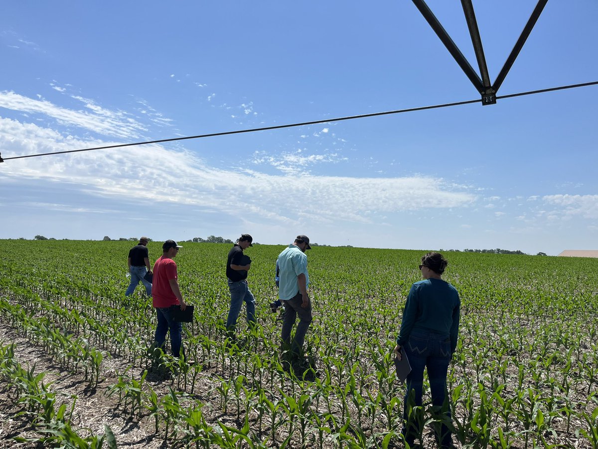 Mike Egger tweet media