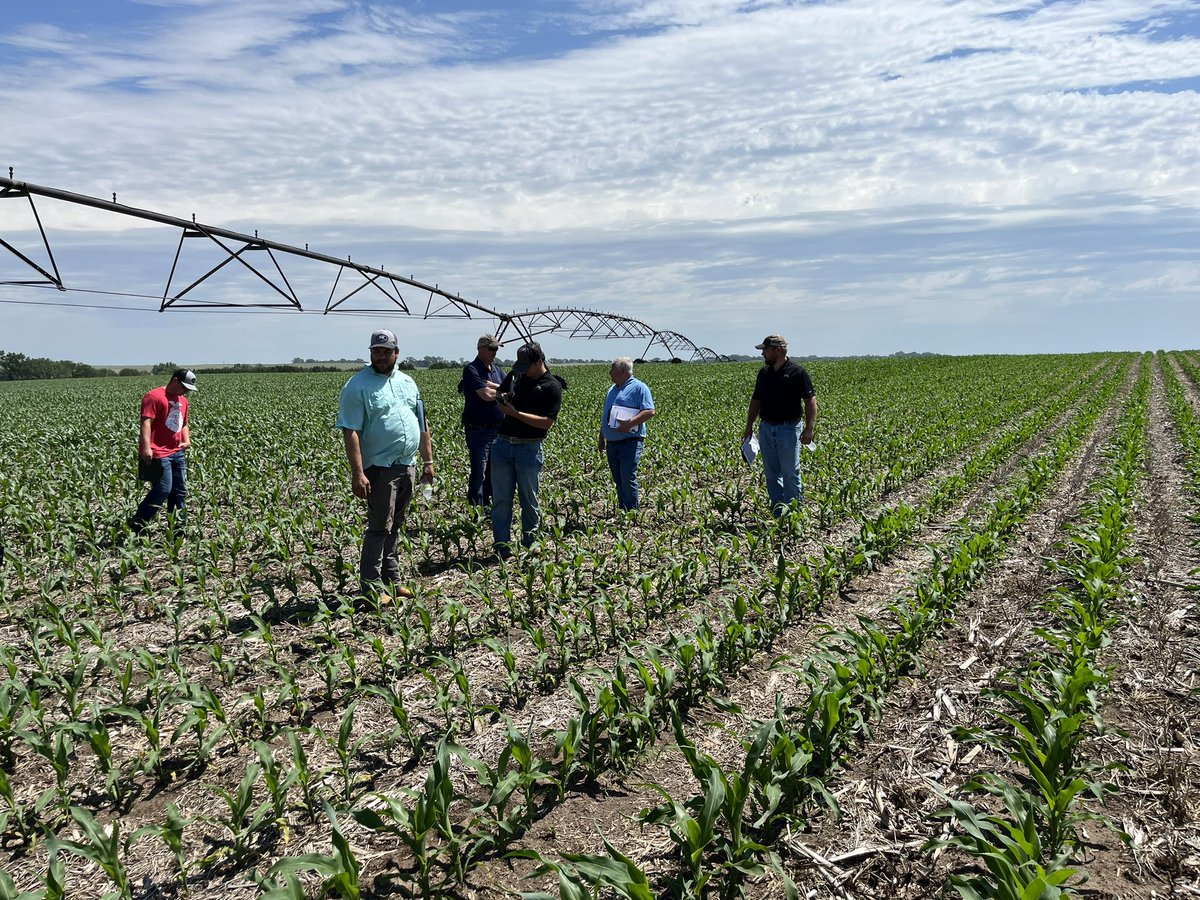 Mike Egger tweet media