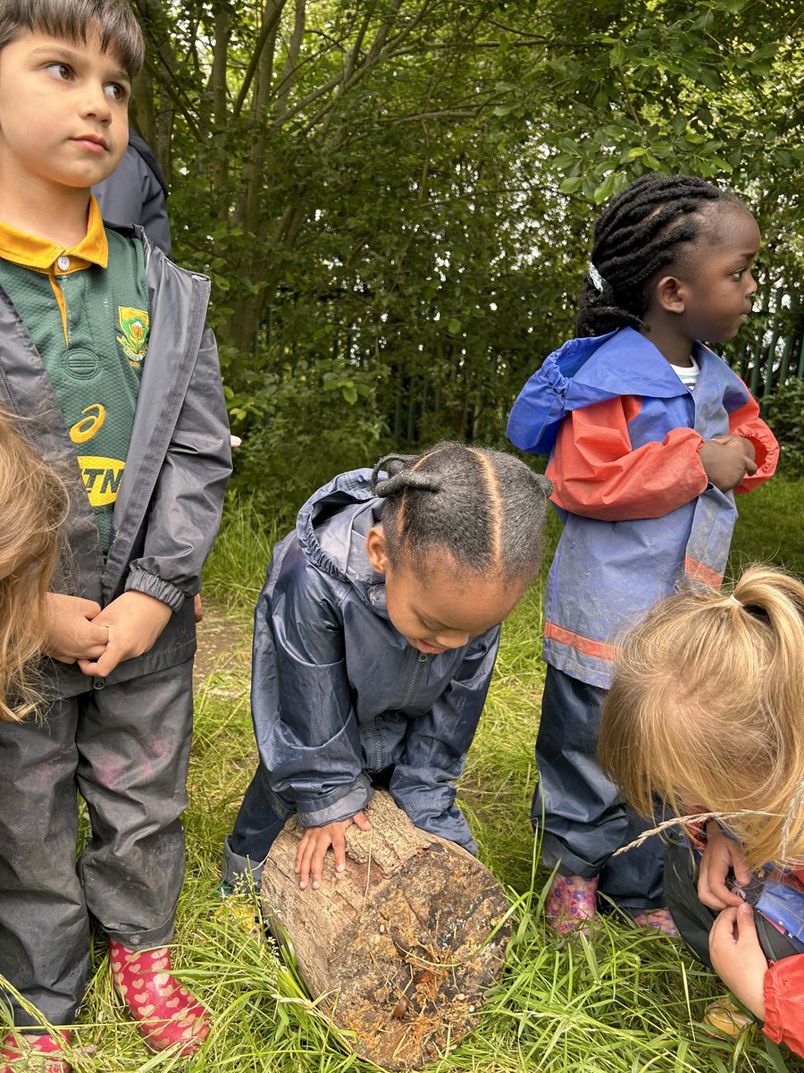 BG_FoxCubs's tweet photo. Fox Cubs spent the afternoon minibeast hunting at Forest School! We had the happiest time exploring together and talking about the features of the minibeasts we found. #BGEYFS #BGScience https://t.co/YaUWM6vNch