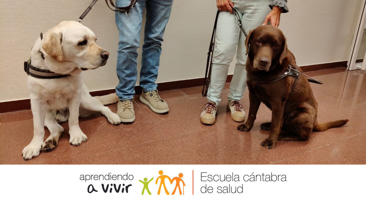 Hoy tenemos unos asistentes a la Jornada de Baja Visión  muy especiales 🤩🤩🤩🦮🦮🦮