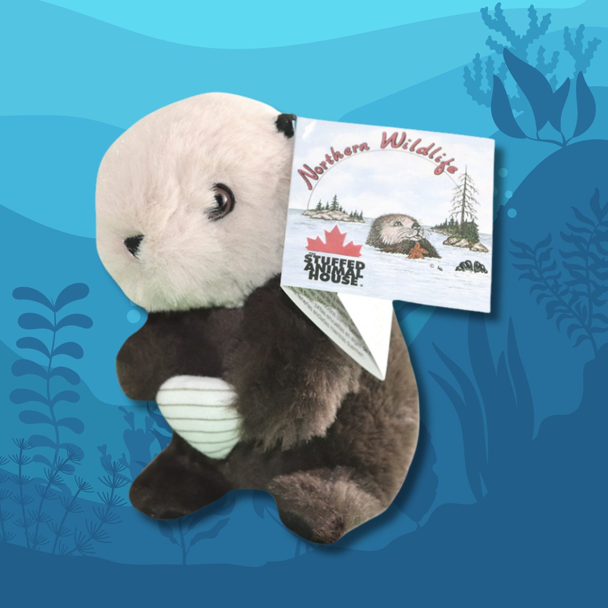 CWF_FCF's tweet photo. Here's another fantastic way to make a difference during #RiversToOceansWeek! Adopt an animal that relies on our lakes, rivers, oceans or coasts. We use the proceeds from your purchase to fund conservation initiatives. π https://t.co/LK9Xm2D3Sb https://t.co/xCylAGcLNJ