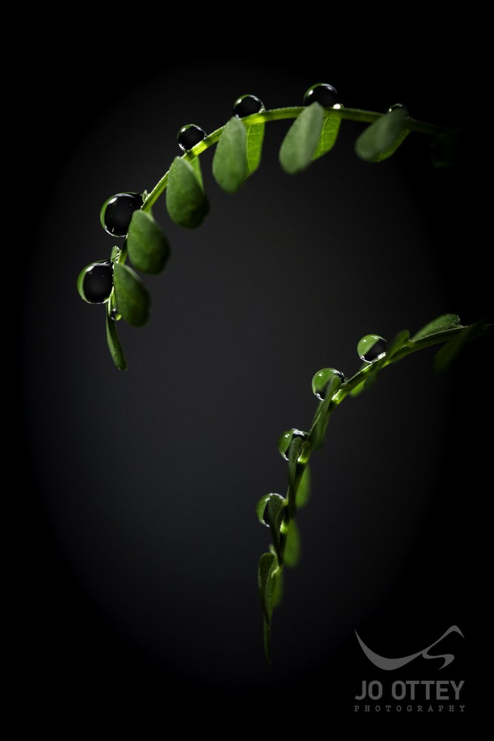 6 hours left to run on my <a href="/TezosFoundation/">Tezos Foundation</a>
<a href="/tezos/">Tezos</a> sponsored 'Art Commission Project' piece.
Thank you <a href="/328_lad/">Jesse 🏴‍☠️</a> for giving me the opportunity.
Winning bid currently with <a href="/Snotface19/">snotface.tez</a> 
objkt.com/tokens/KT1XYKP…