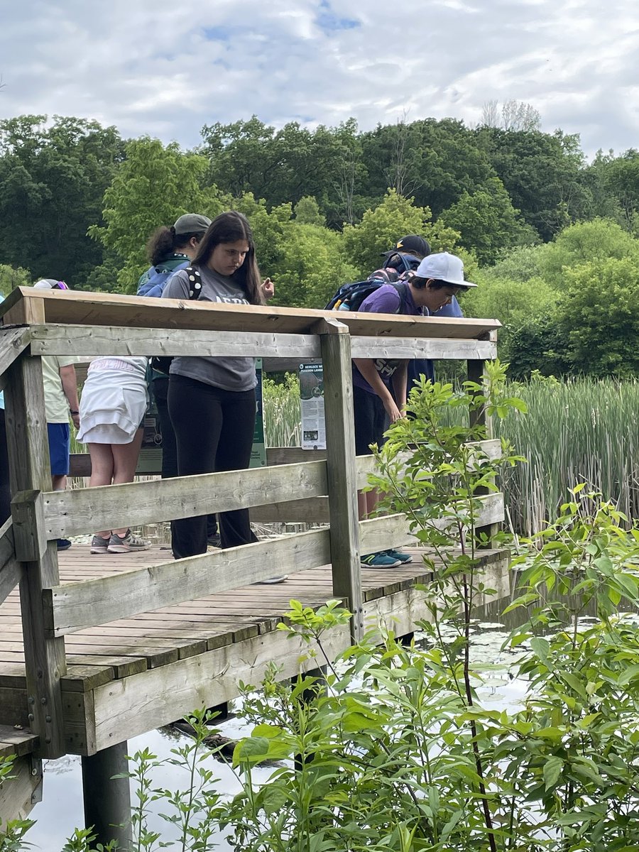 mrspilozzi's tweet image. We are called to be stewards of the earth. @SJPIIOakville