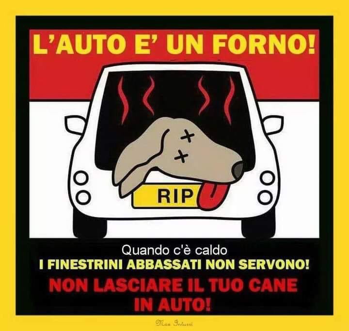 Associazioni Orti 🇨🇭Caslano (@caslanoorti) on Twitter photo 