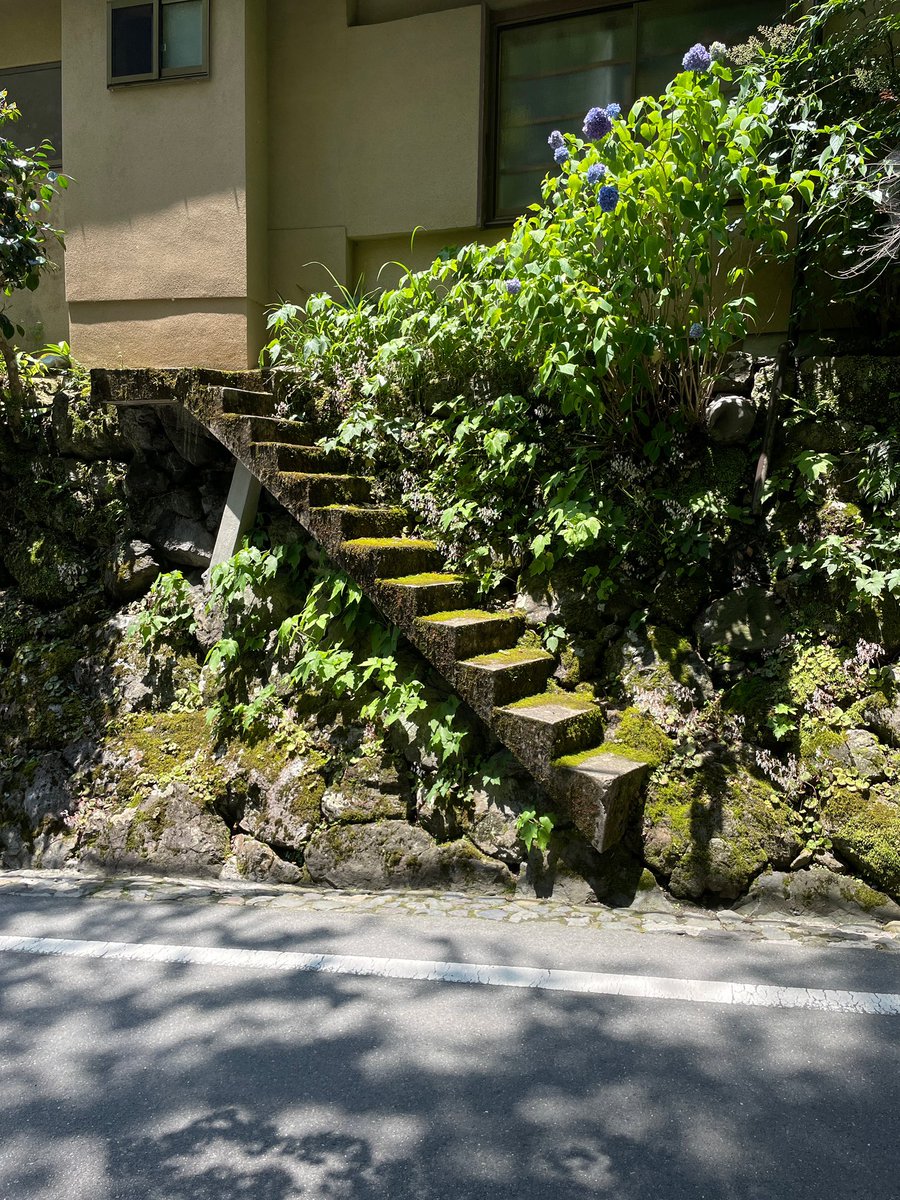 shinji_archi's tweet photo. 今まで見た階段史上1番やばい https://t.co/zpsK7LI8GZ