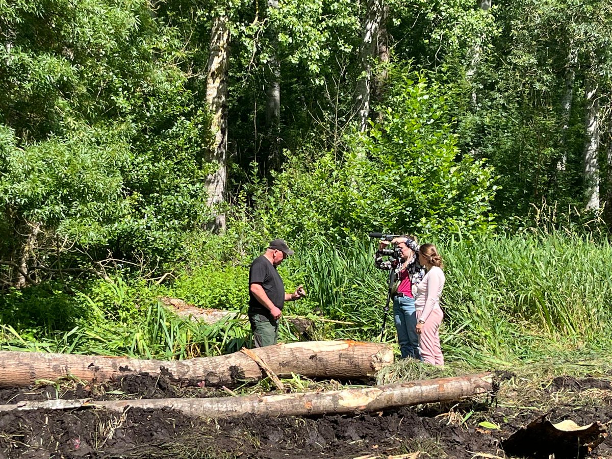Parc naturel régional du Marais poitevin tweet media