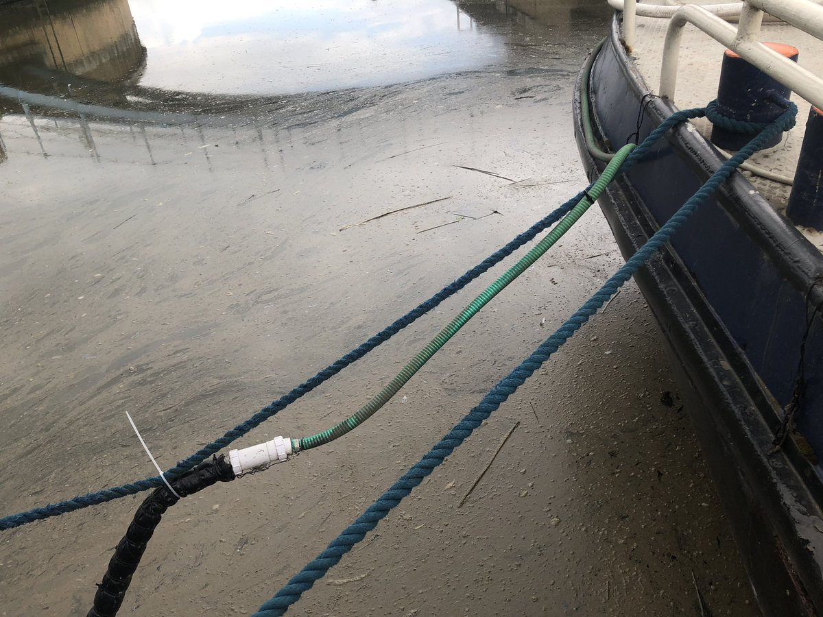 Andrea Waeschenbach tweet media