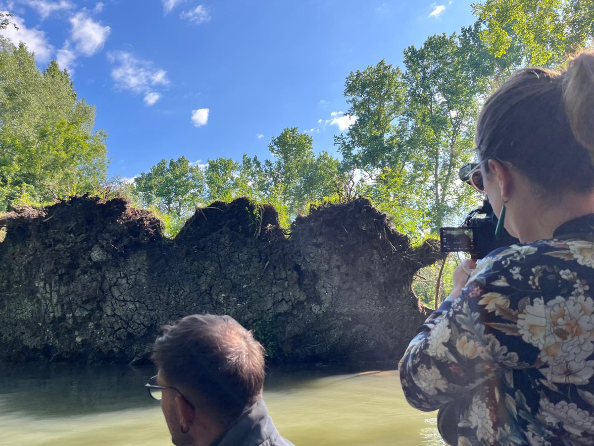 Parc naturel régional du Marais poitevin tweet media
