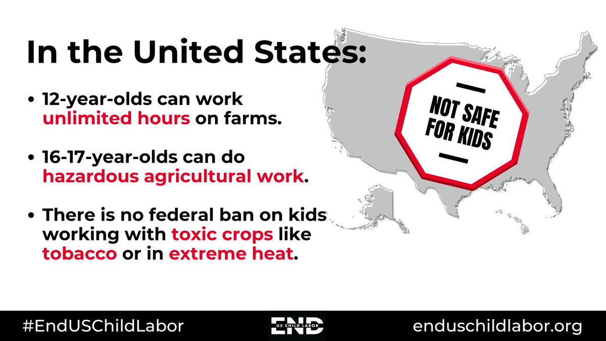 DYK: #US federal law does not meet international #ChildLabor standards? Kids can work unlimited hours on farms from the age of 12, &amp; 16-17 yr-olds can do hazardous agricultural work. Until we #EndUSChildLabor, the US is #NotSafeForKids. #WDACL2024