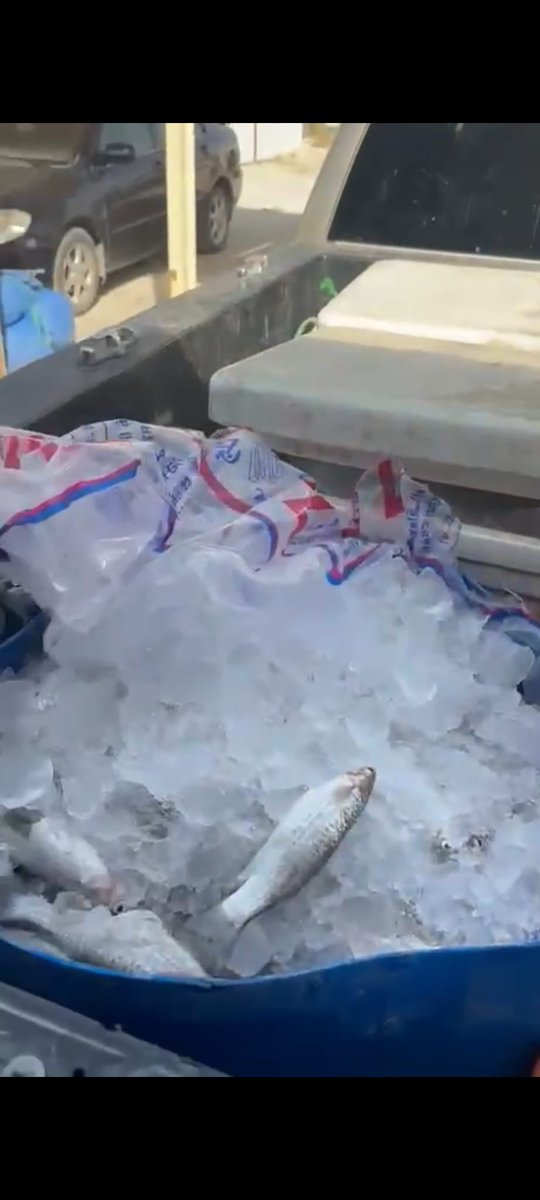 الهيئة العامة لشئون الزراعة والثروة السمكية tweet media