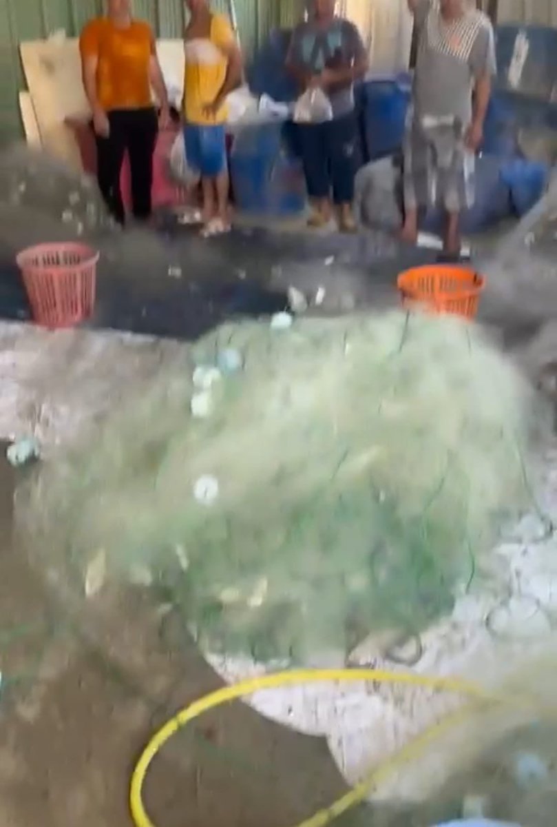 الهيئة العامة لشئون الزراعة والثروة السمكية tweet media