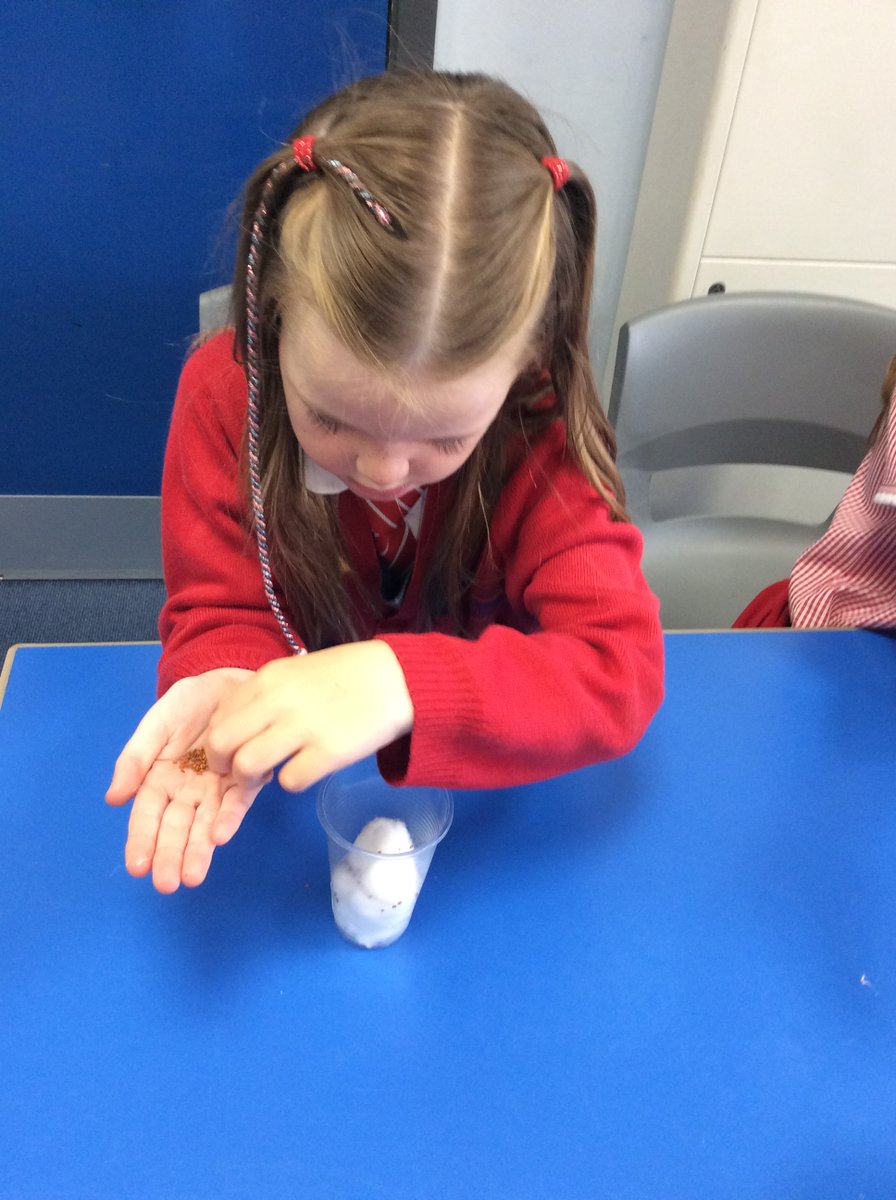 Y1CRA's tweet photo. In maths, the children have been learning about money. They enjoyed working in pairs, discussing the similarities and differences between each coin and ordering them in size and value.
In science, the children planted cress seeds. We are excited to taste the cress once it grows. https://t.co/zKteiLbUFc