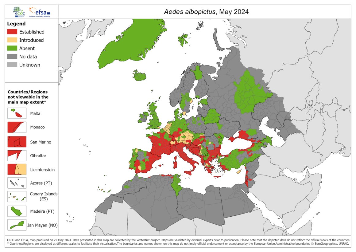 Ahead of the summer holidays and many returning travelers from large #dengue outbreak settings in South America, Caribbean, Asia, Ae. albopictus newly to UK, near ports and channel travel, major cities (incl. Berlin).

ecdc.europa.eu/en/publication… 

bbc.com/news/articles/…