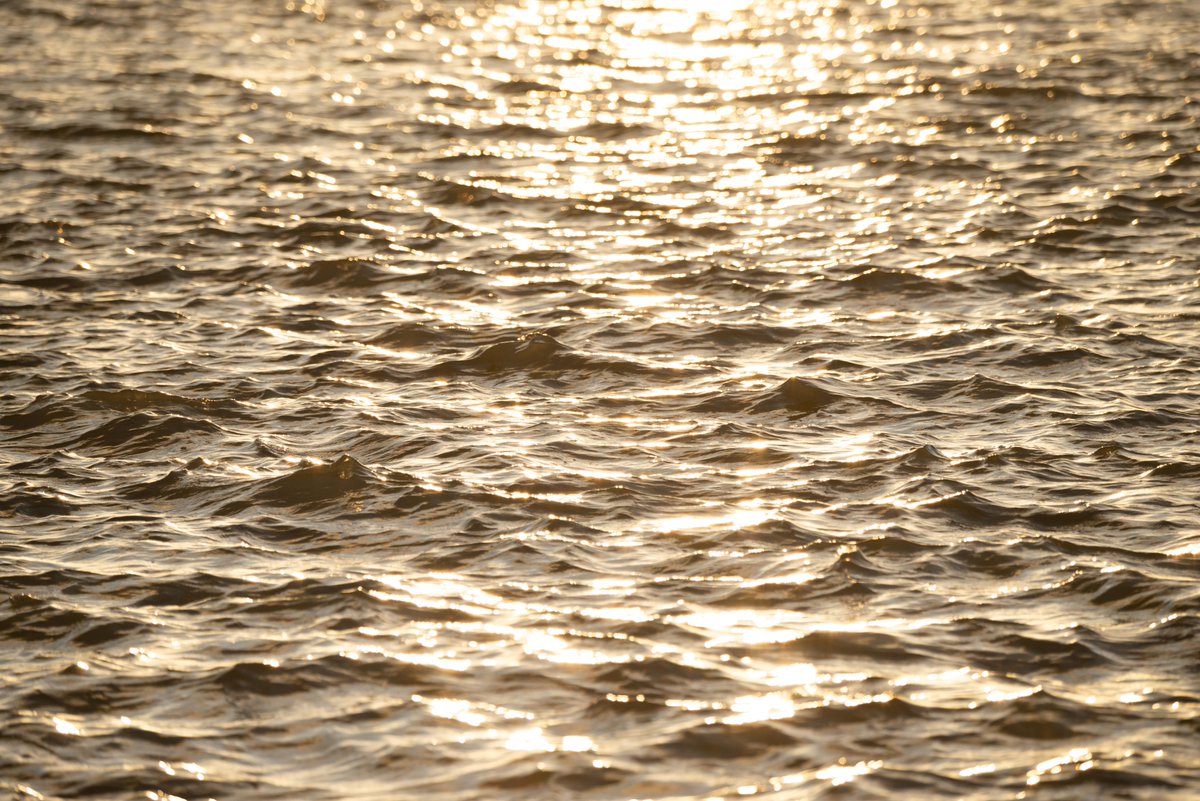 LondonPortAuth's tweet image. Our tide tools show predicted, observed and surge tidal data to give you the latest information on tides in the #PortOfLondon
➡️ hubs.la/Q02zfnrt0 
#Tides #RiverThames