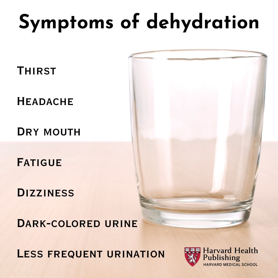 Dehydration, common condition that occurs when your body doesn't have the fluids to function normally. Since the body needs enough fluid to stay healthy, dehydration can make you feel unwell. Learn the symptoms in adults and older children.#HarvardHealth

bit.ly/45nUDkl