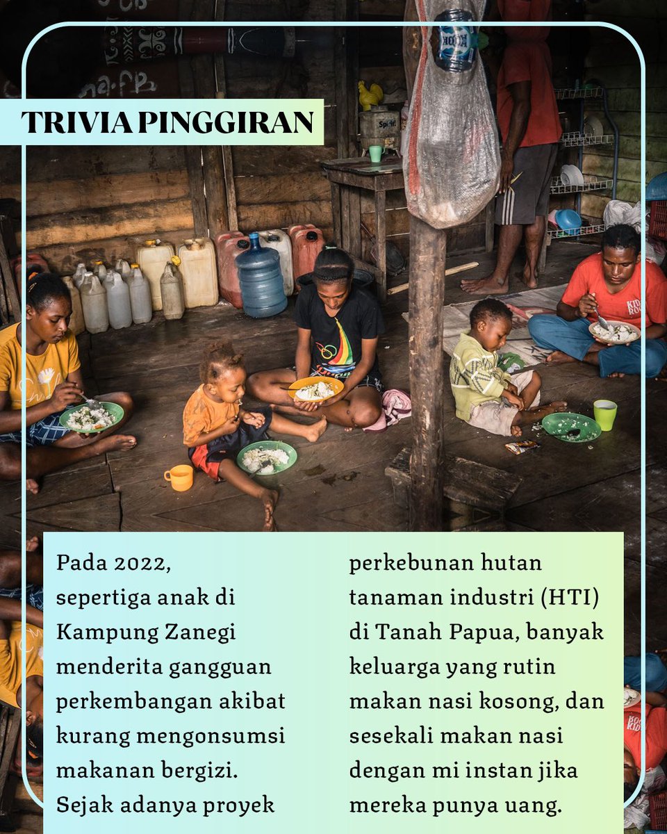 projectm_org's tweet photo. Gizi buruk menghantui Kampung Zanegi, Tanah Papua. Sebuah proyek perkebunan HTI telah menghancurkan ribuan hektare hutan alam dan merusak sumber pangan masyarakat adat setempat.

#TriviaPinggiran #MasyarakatAdat #Papua
#YaAkuBakalDibaca

https://t.co/khD9Z8wJPh https://t.co/fqxQFEwQOZ