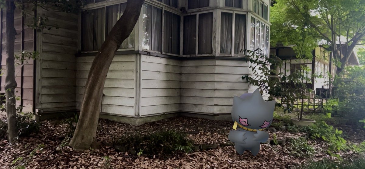 1ch25252's tweet photo. 悪い事企んでる顔が一番可愛い
#PokemonGO #GOsnap https://t.co/ydIvgPDJy4