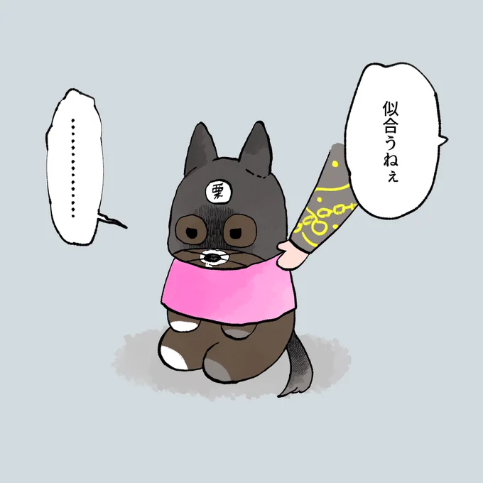 タイちゃんのパーソナルカラー診断 