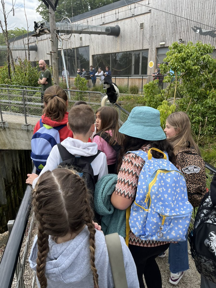 OWPScobras tweet media