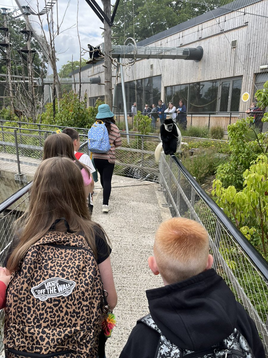 OWPScobras tweet media