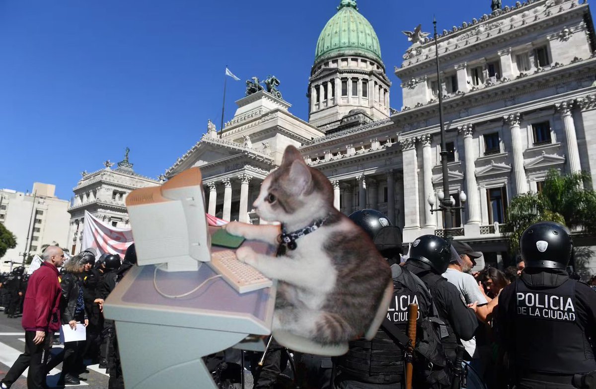 _leilape's tweet photo. Haciendo la fila virtual de Paul McCartney mientras nos van a pegar una culeada monumental en el Senado https://t.co/XAMXiYEwOI