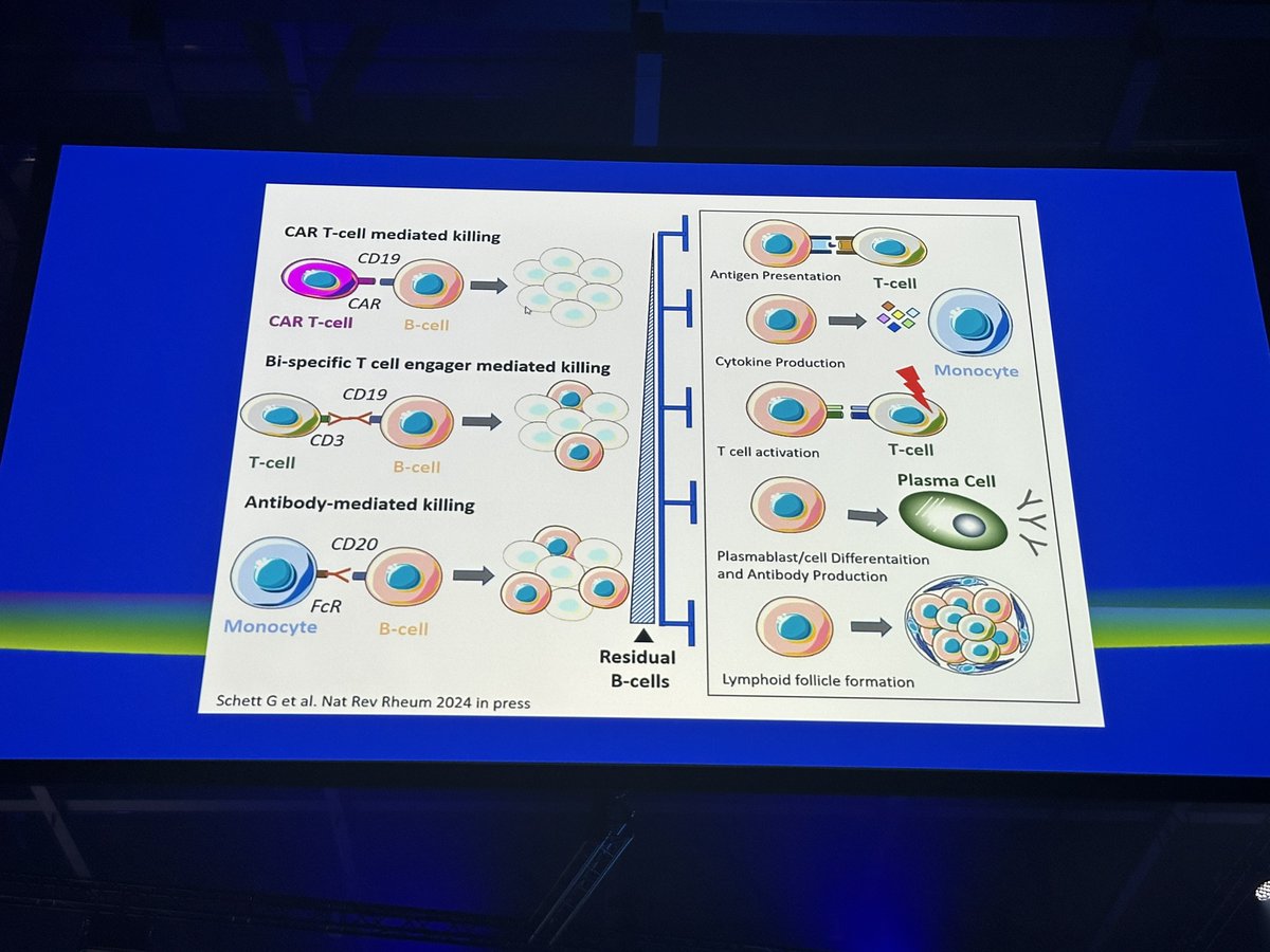 eular_ARD's tweet photo. Insightful review on the use of CarT cells in autoimmune diseases from Prof Schett at #EULAR2024. 
MS https://t.co/b4Jh4lNciD