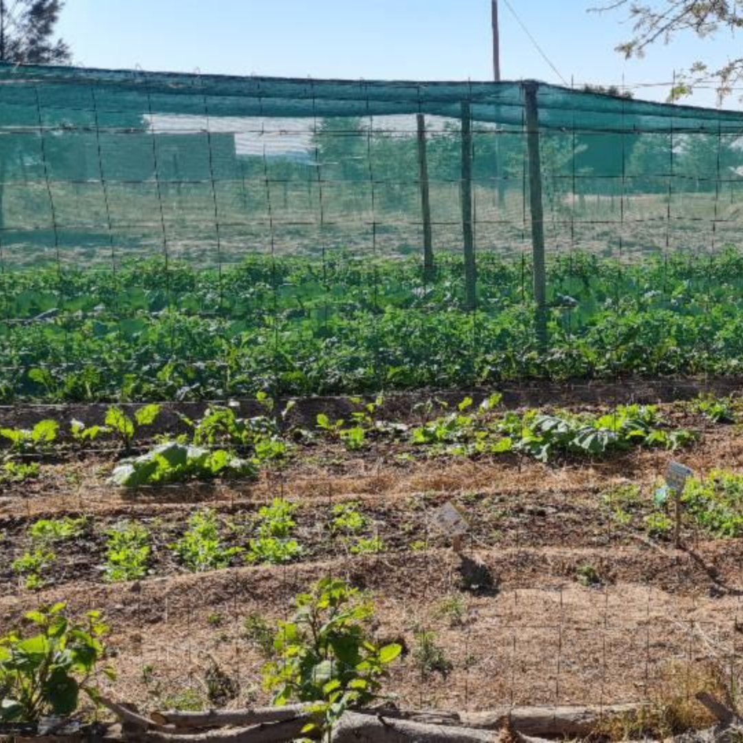 aspringofhope's tweet image. In the second year of our partnership with the Ackerman Pick ’n Pay Foundation we are pleased to have retained all 20 partner schools.