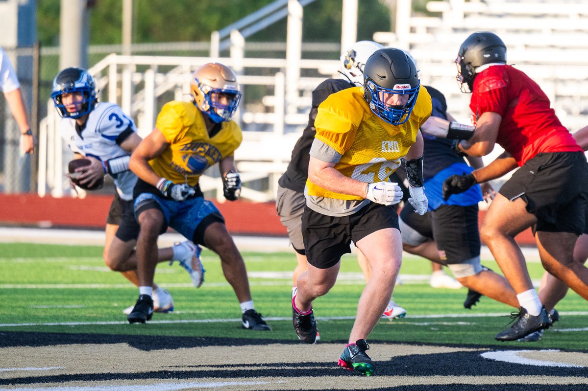 David Rainey tweet media