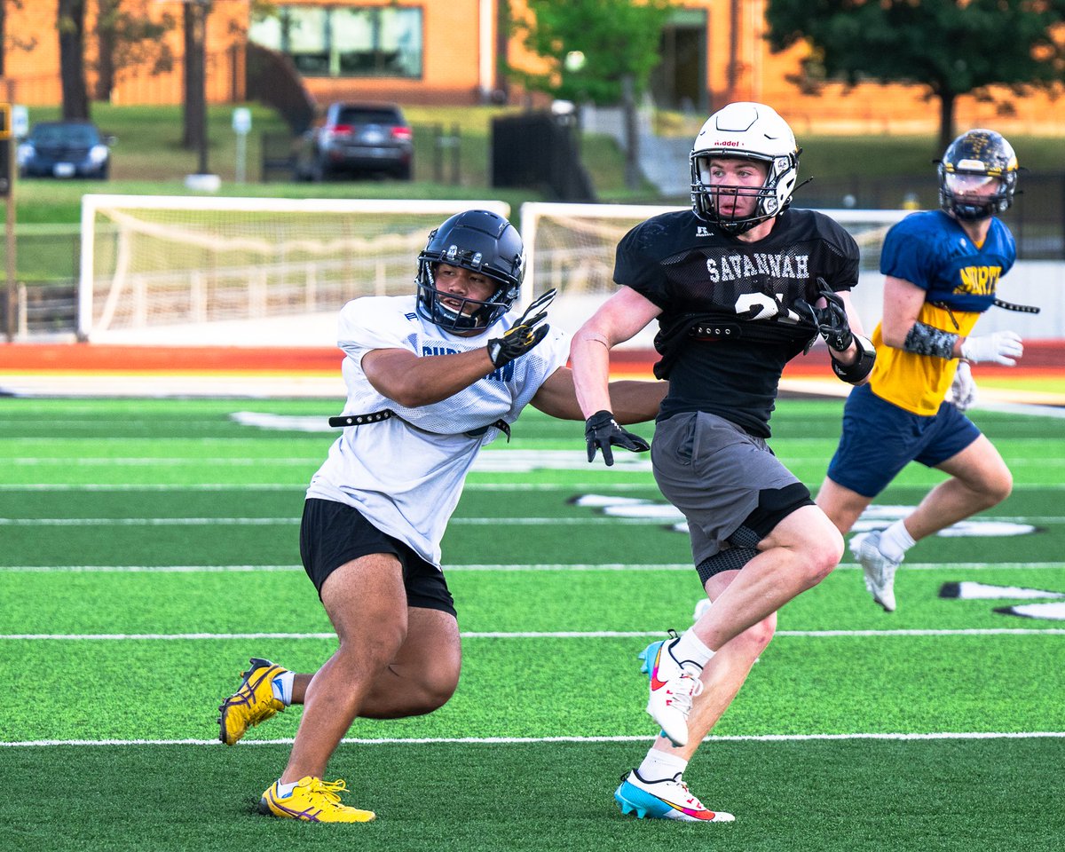 David Rainey tweet media