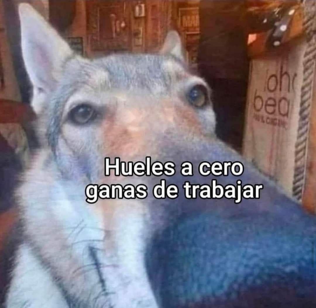 El grifo pirata carmesí (🌒🎲📜) (@erigoldelviento) on Twitter photo 