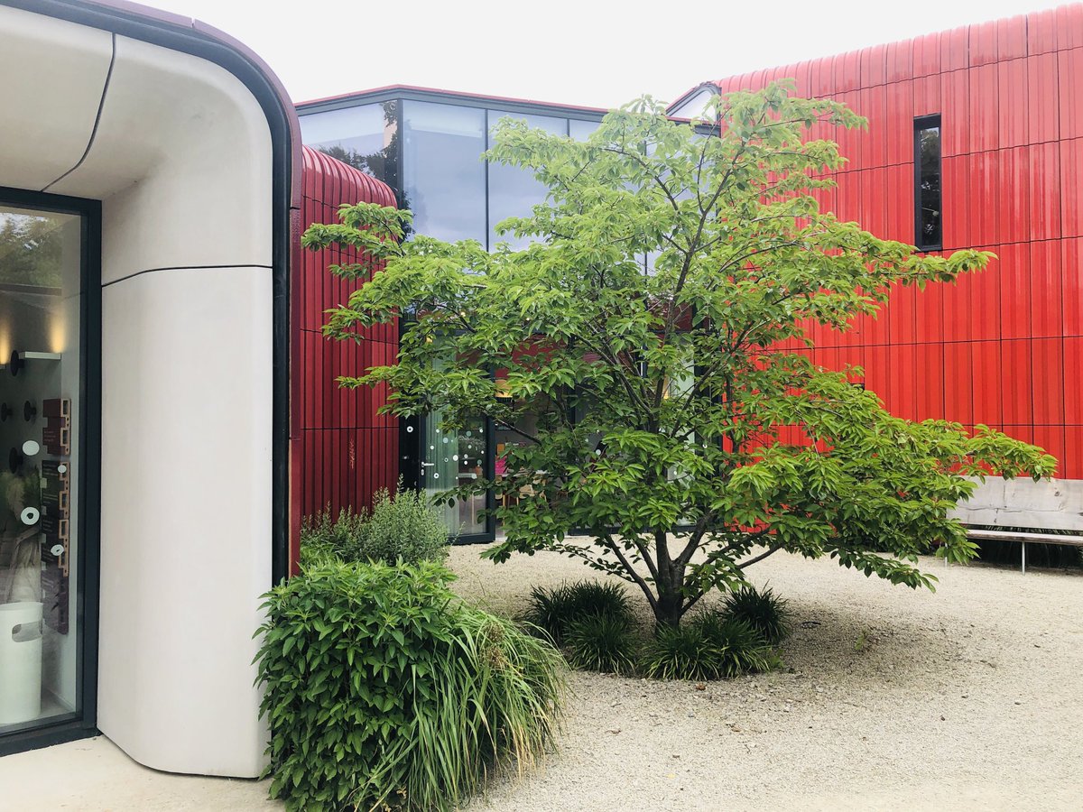 CathySandsund's tweet image. @maggiescentres 
Thanks for hosting ⁦@RM_CancerRehab⁩ for another #cancerexercise filming session with ⁦@SurreyAVSol⁩ #happydays