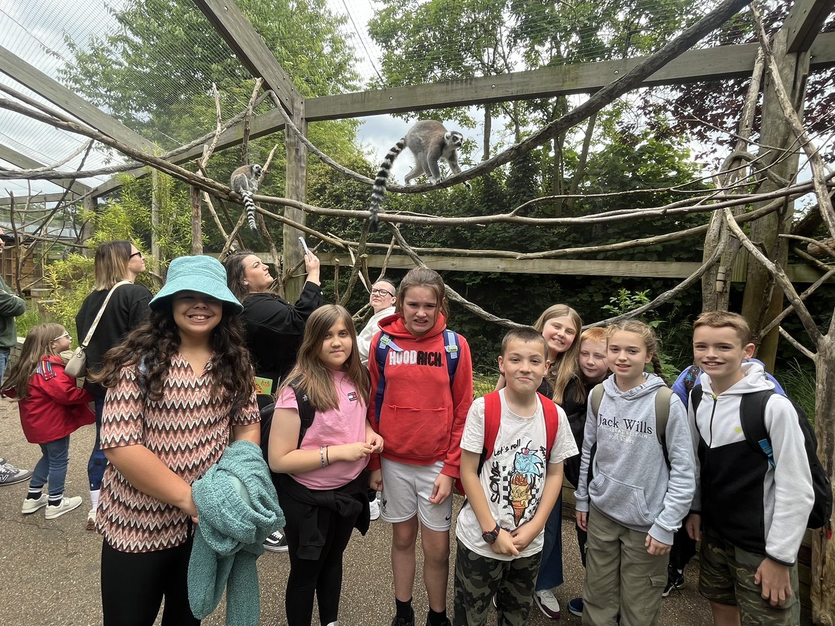 OWPScobras tweet media